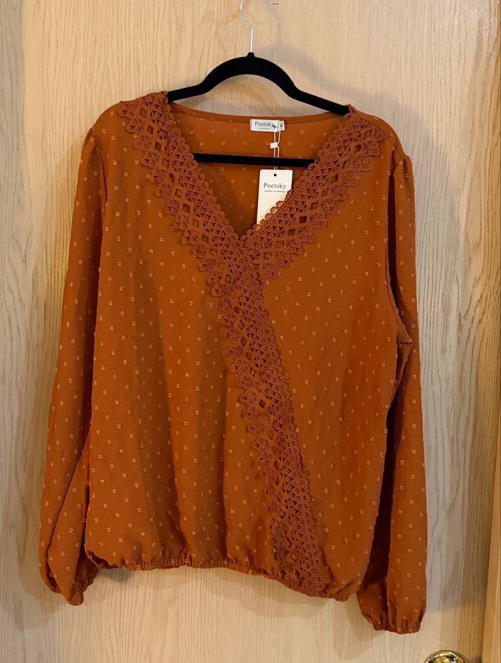 Poetsky Burnt Orange Crochet Lace Swiss Dot Boho Blouse XL NWT